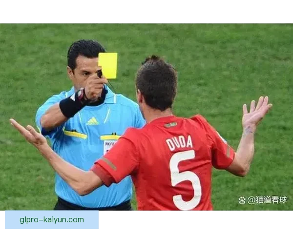 足球红黄牌统计显示各队纪律水平差异，需关注本赛季球员表现稳定性。